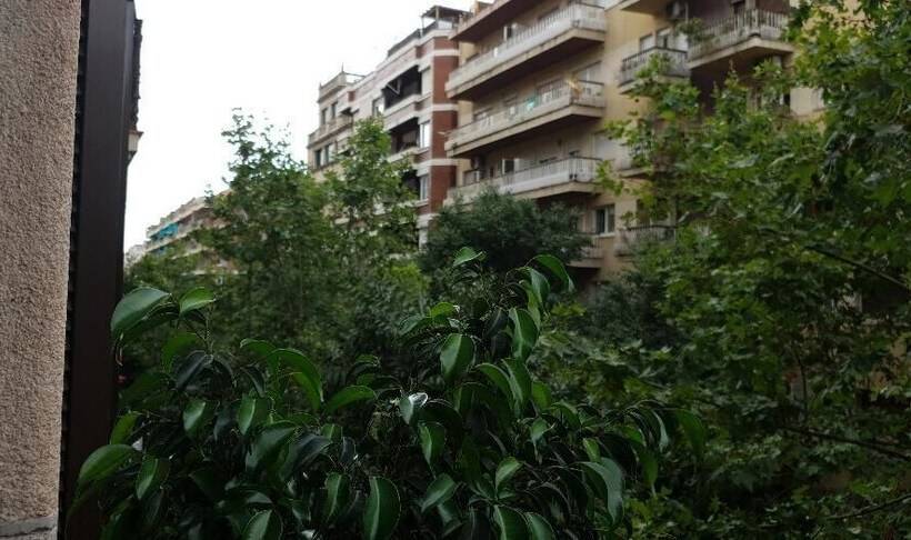 هتل Hostal Absolut Stay