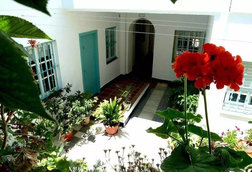 هتل Hostal Campo Nuevo