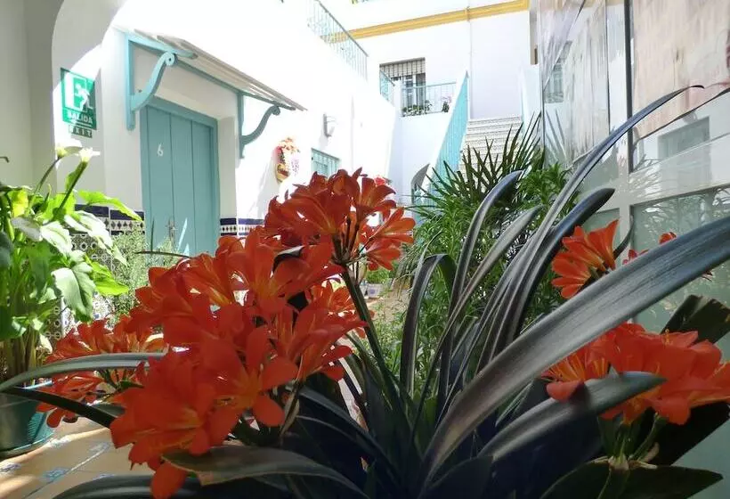 هتل Hostal Campo Nuevo