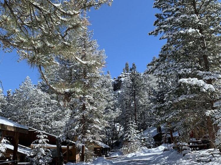 فندق Pine Haven Resort