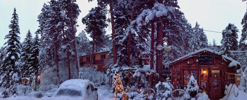 فندق Pine Haven Resort