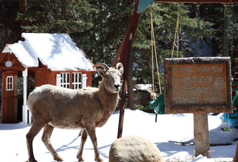 فندق Pine Haven Resort