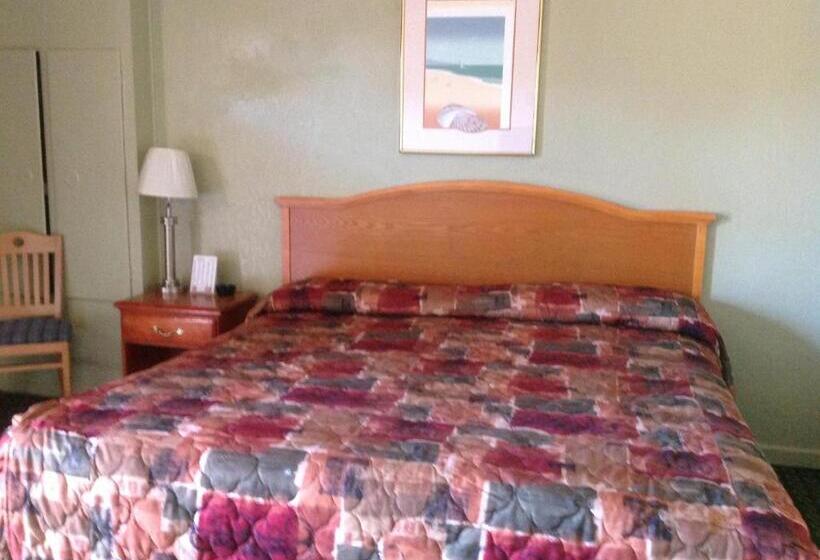 酒店 Sunshine Inn Of Daytona Beach