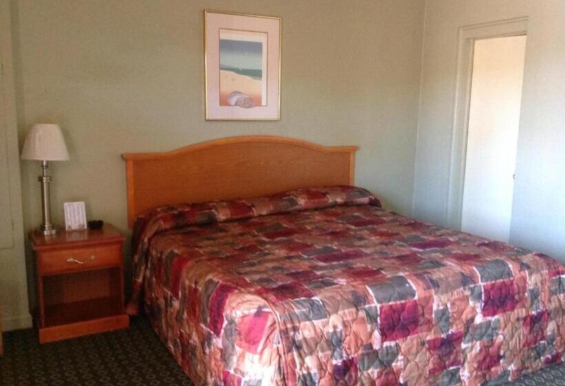 酒店 Sunshine Inn Of Daytona Beach