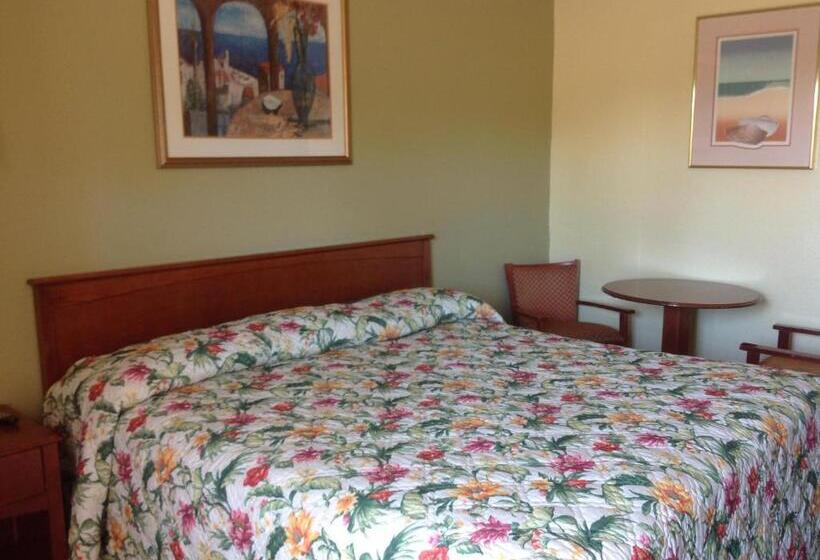 酒店 Sunshine Inn Of Daytona Beach