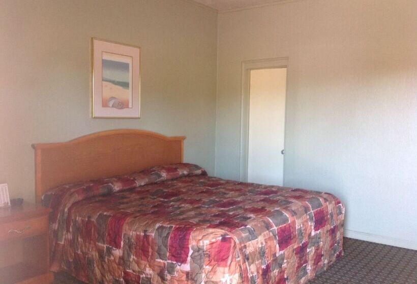 酒店 Sunshine Inn Of Daytona Beach