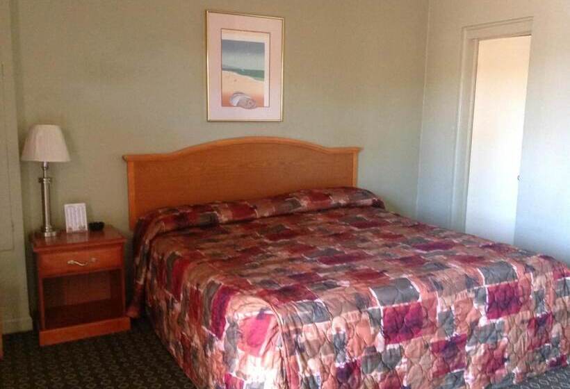 酒店 Sunshine Inn Of Daytona Beach