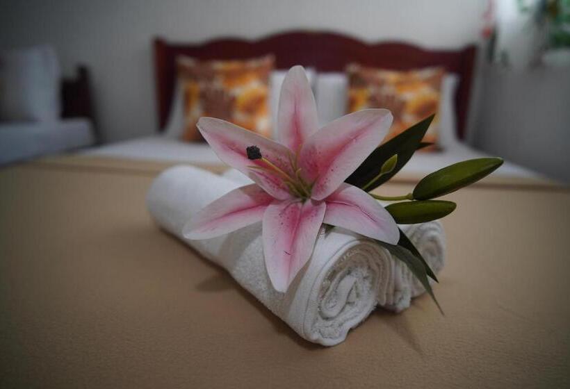 تختخواب و صبحانه Amparo S Tourist Inn   Coron