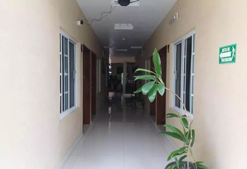 ホテル Cañada S Bungalows