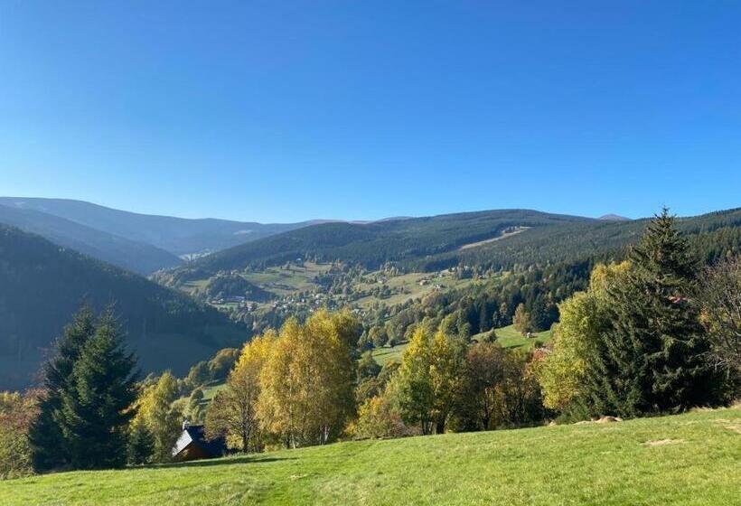 Hotel Modřín Wellness V Ceně