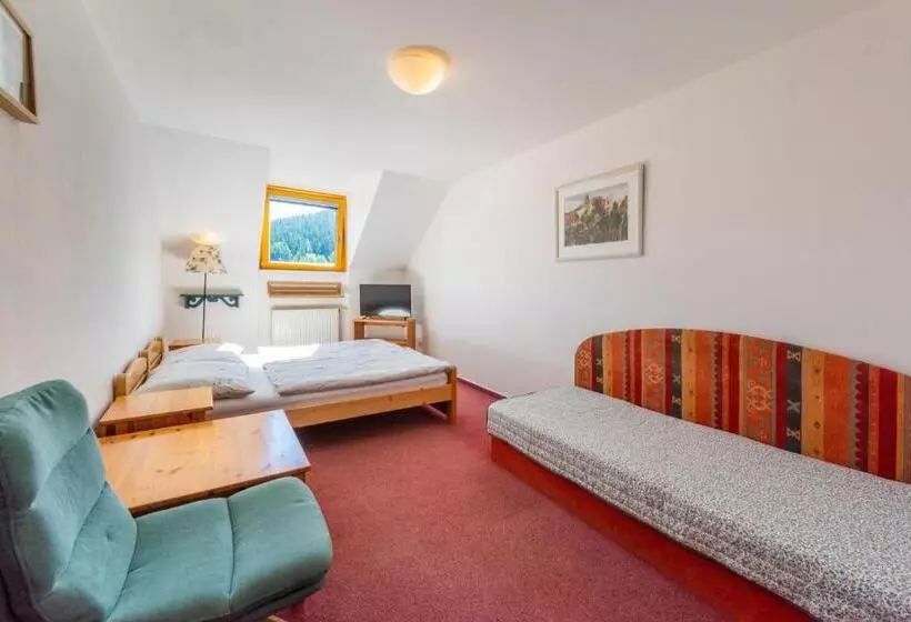 Hotelli Modřín Wellness V Ceně