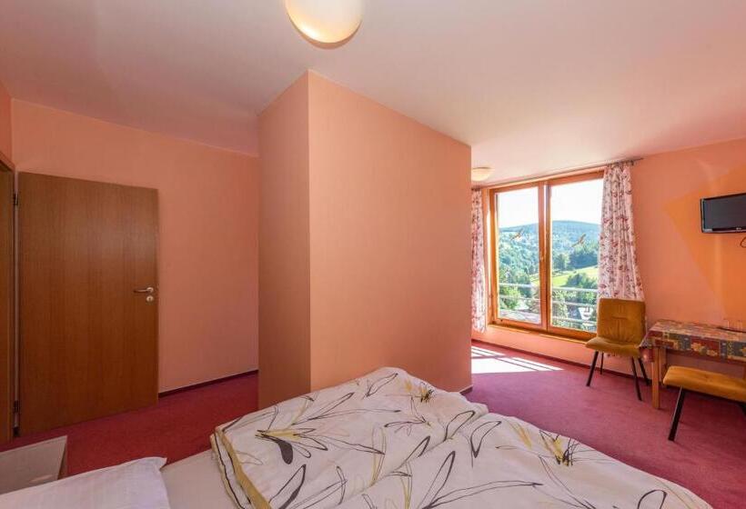 Hotel Modřín Wellness V Ceně