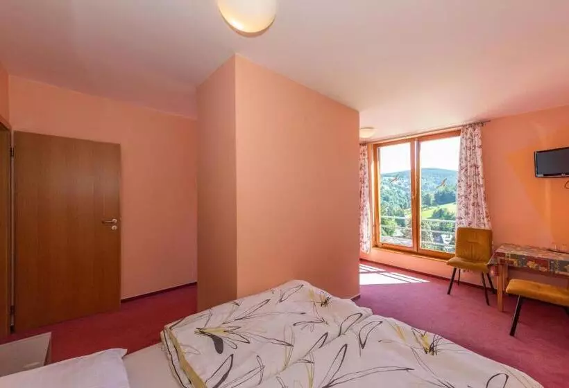 Hotelli Modřín Wellness V Ceně