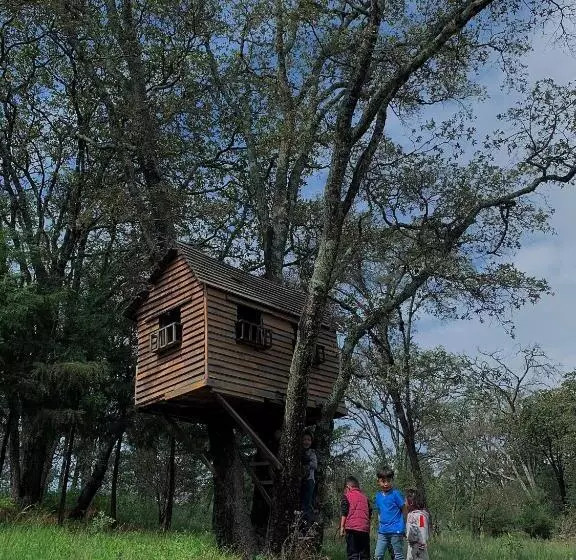 ホテル Rancho Los Siete