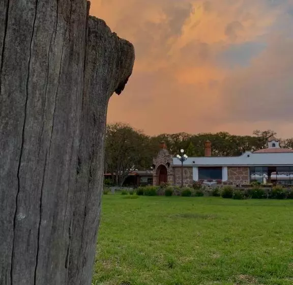 ホテル Rancho Los Siete