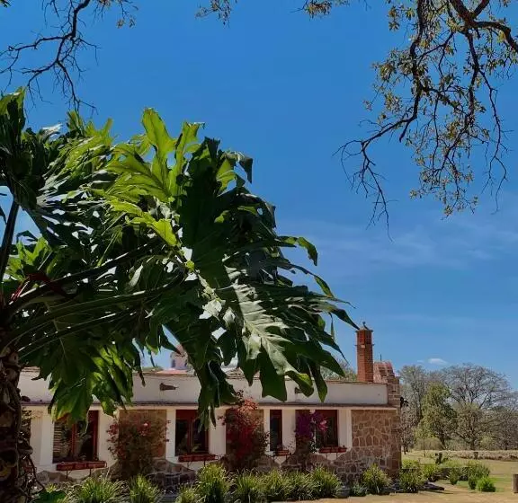ホテル Rancho Los Siete