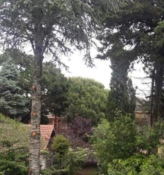 Pension Complejo Tío Tato