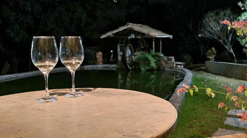 پانسیون Sítio Roda D água