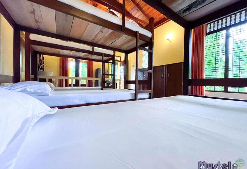 Cămin Mystel Unawatuna