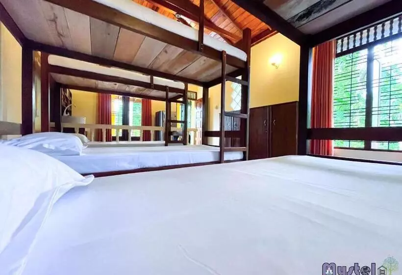 Retkeilymaja Mystel Unawatuna