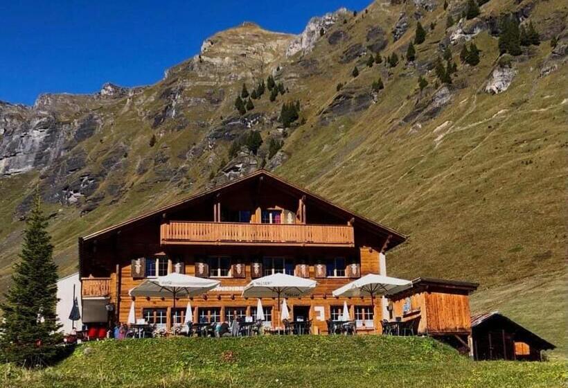 هاستل Sonnenberg Dormitories