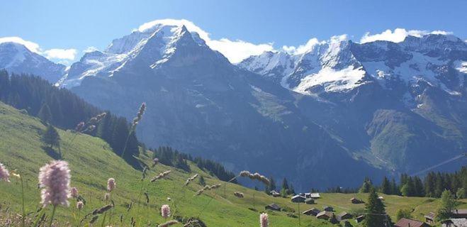 هاستل Sonnenberg Dormitories