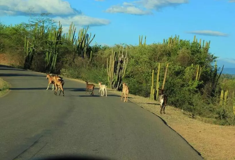 Aamiaismajoitus (B&B) Hostal Rolled