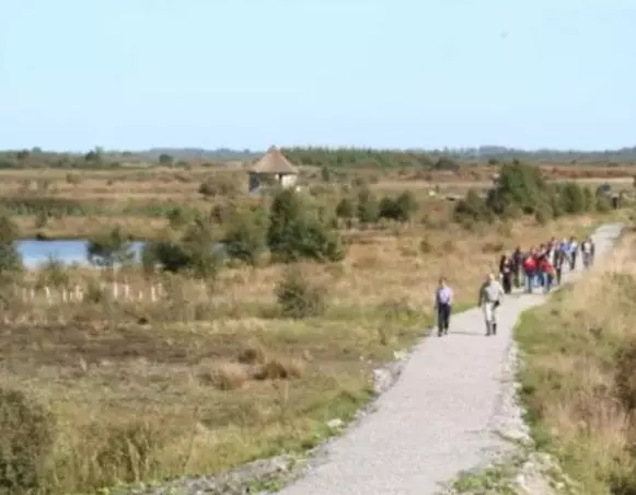 Aamiaismajoitus (B&B) Killooley Lodge