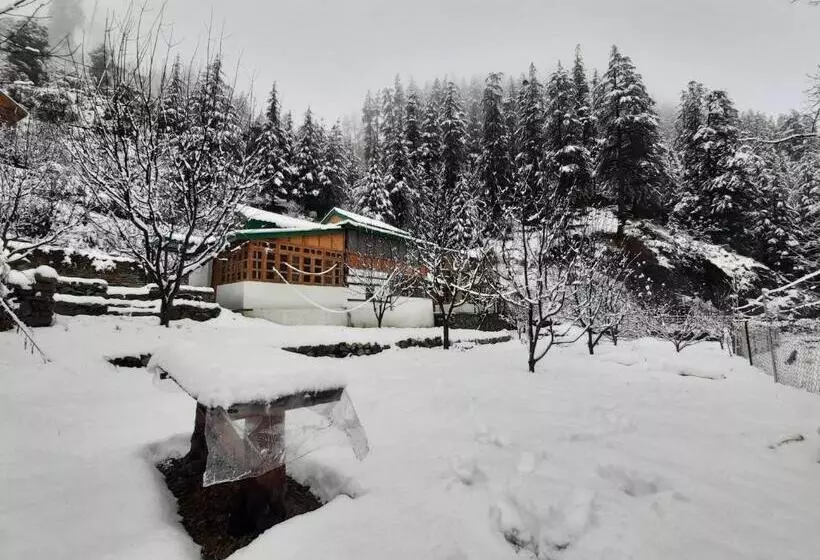 ホテル Jibhi Brook Retreat