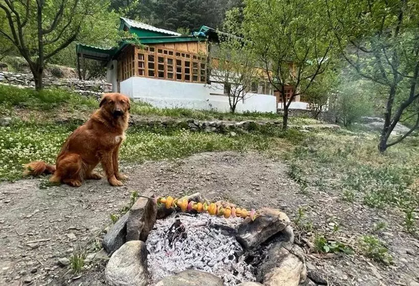 ホテル Jibhi Brook Retreat