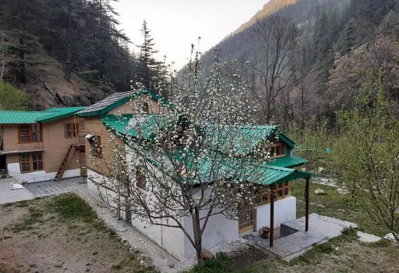 ホテル Jibhi Brook Retreat