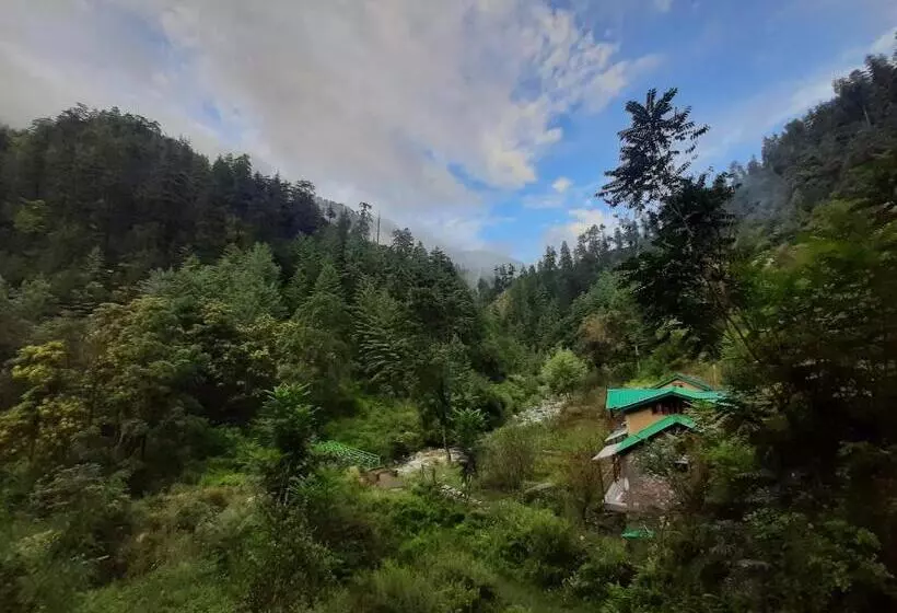 ホテル Jibhi Brook Retreat