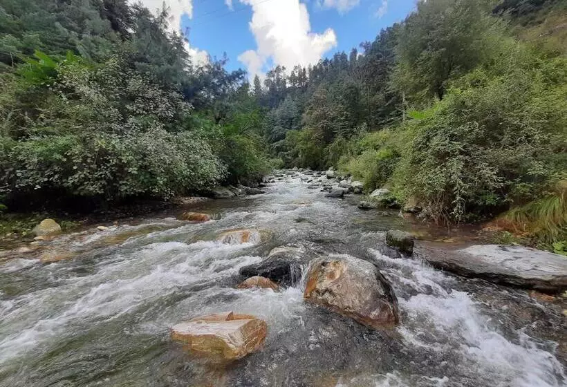 ホテル Jibhi Brook Retreat