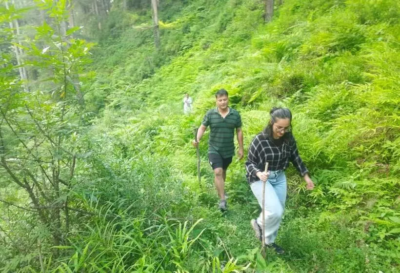ホテル Jibhi Brook Retreat