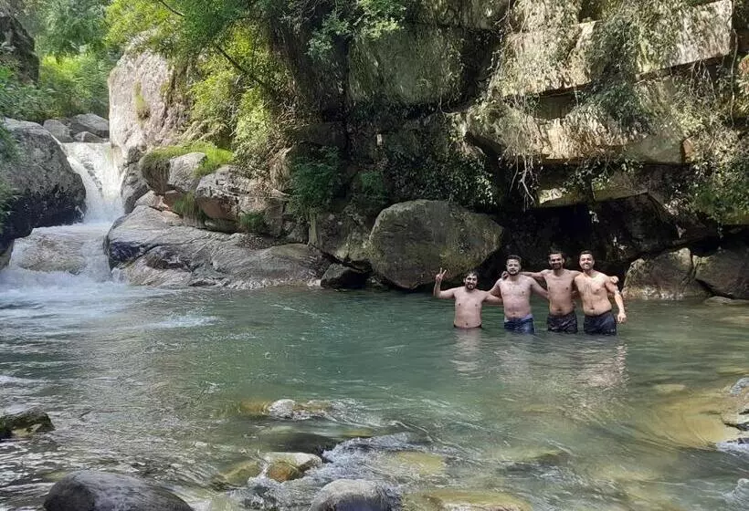 ホテル Jibhi Brook Retreat