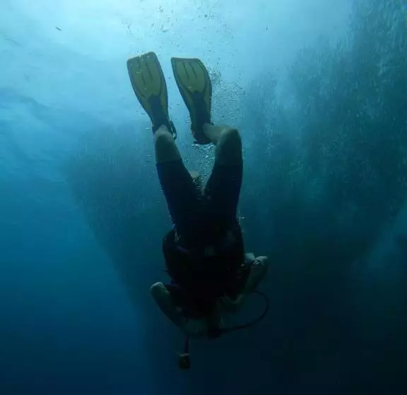 ペンション Moalboal Indino S Guesthouse Sardines Run And Sea Turtle 1 Minute Walking Distance