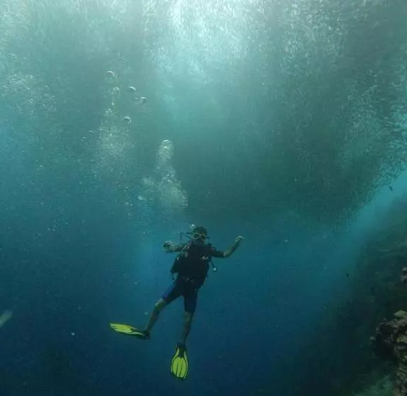 ペンション Moalboal Indino S Guesthouse Sardines Run And Sea Turtle 1 Minute Walking Distance