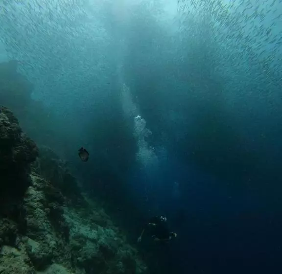 ペンション Moalboal Indino S Guesthouse Sardines Run And Sea Turtle 1 Minute Walking Distance