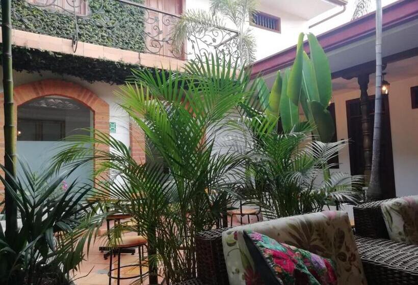 تختخواب و صبحانه Casa Carambolo