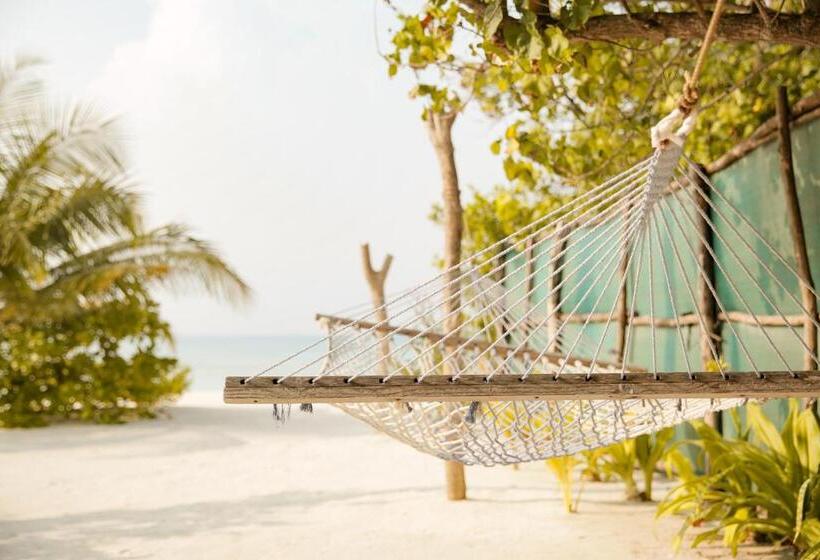 پانسیون My House