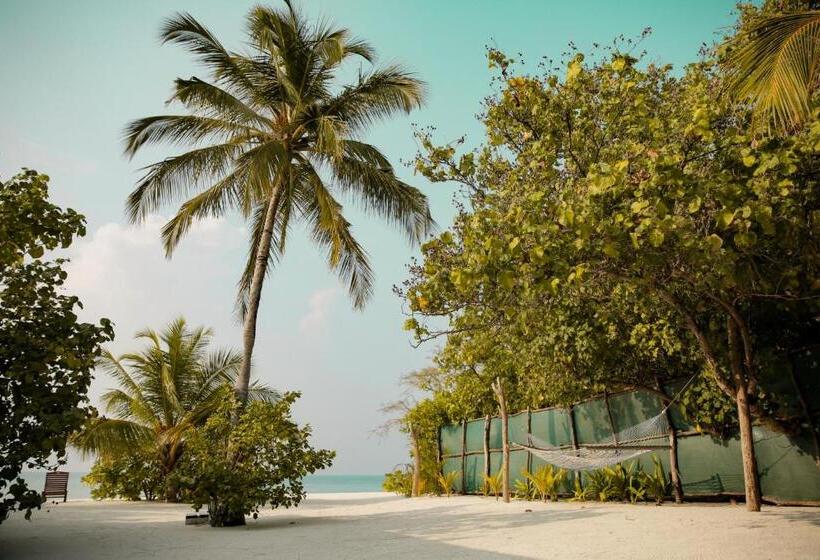 پانسیون My House