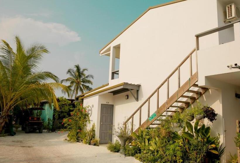 پانسیون My House