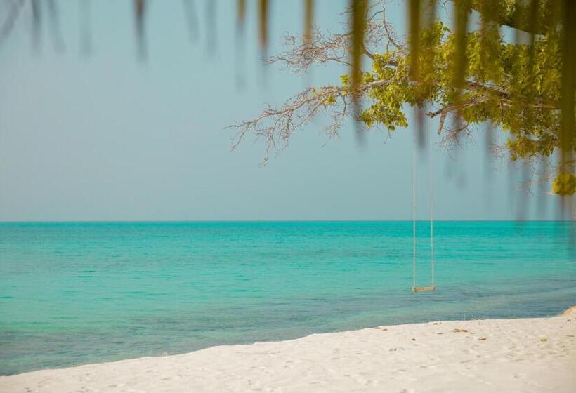 پانسیون My House