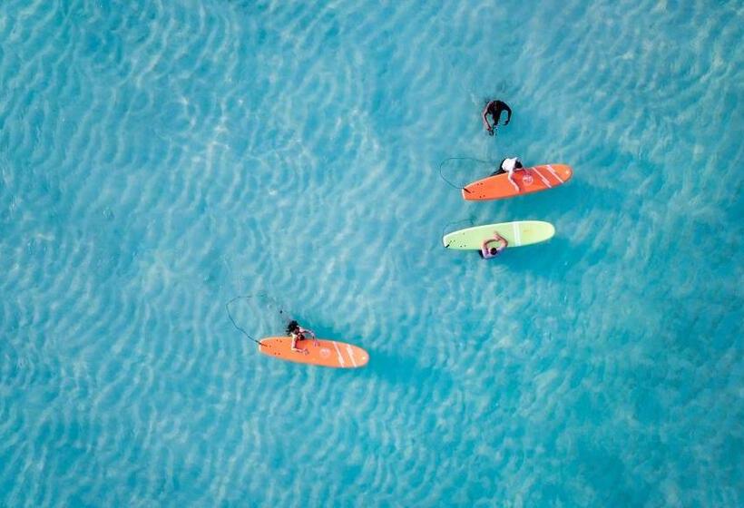 پانسیون My House