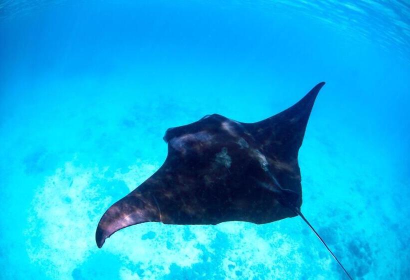 پانسیون My House