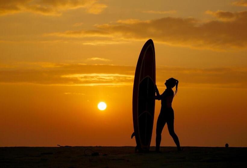 پانسیون My House