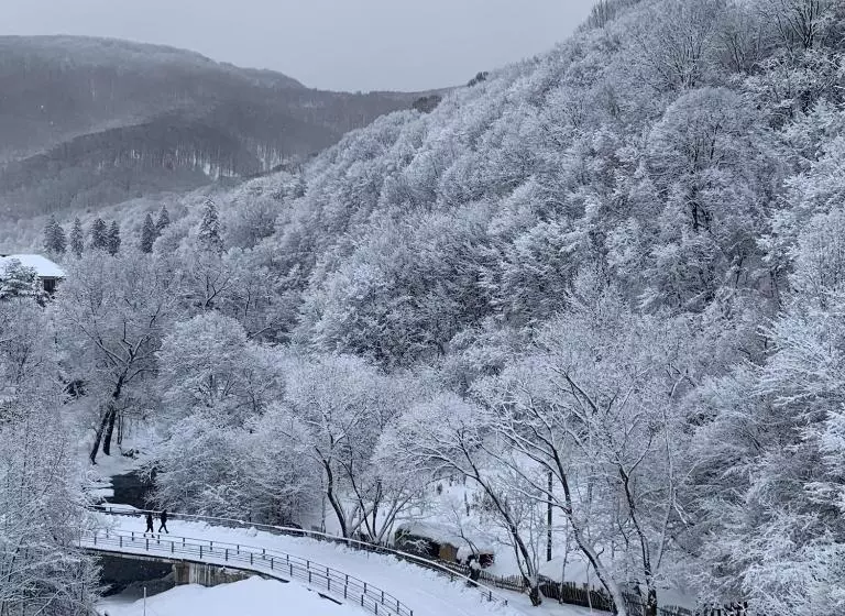 апарт сервic жк сонячний квартал