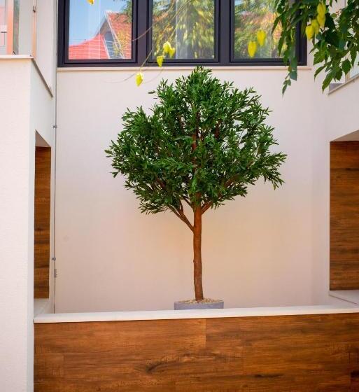 Bed and Breakfast Elixír Panzió