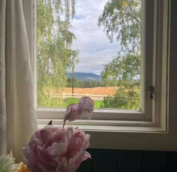 Aamiaismajoitus (B&B) Visjon Gjestegård