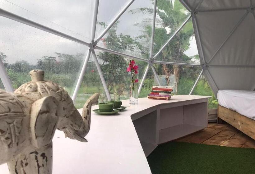 Hotel Borobudur Luxury Glamping